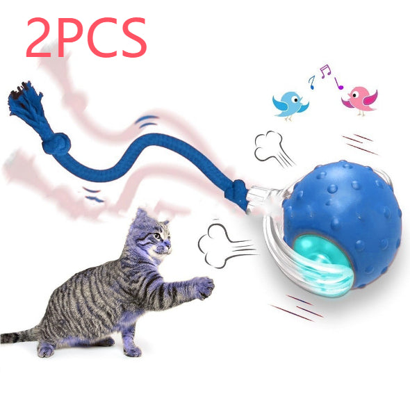 ce3993a01df1c85f04c9b683b85b37e7