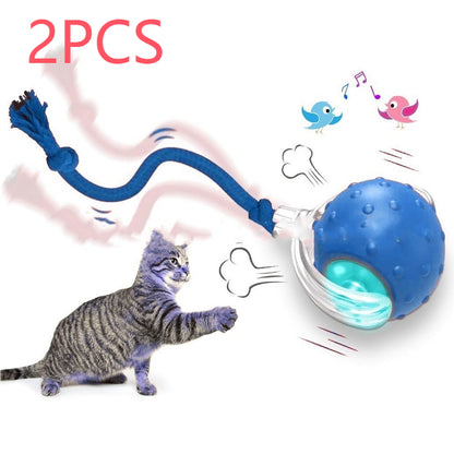 ce3993a01df1c85f04c9b683b85b37e7